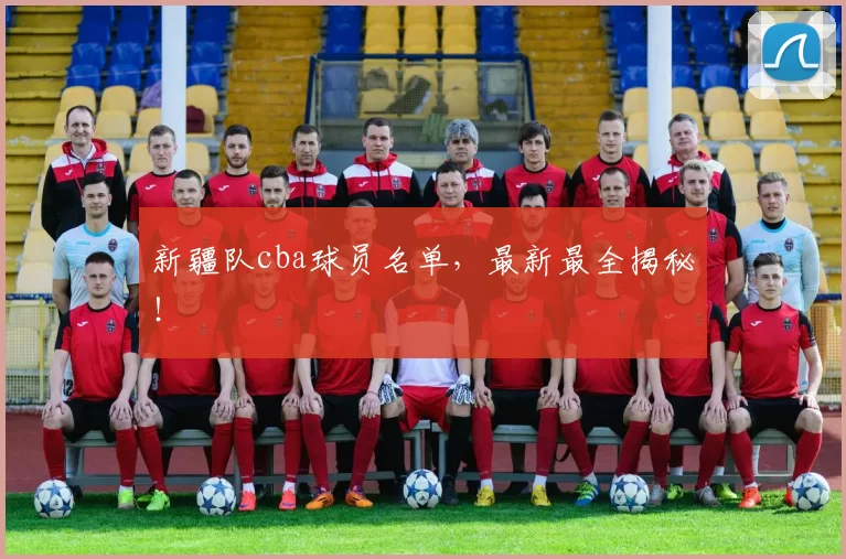 新疆队cba球员名单，最新最全揭秘！