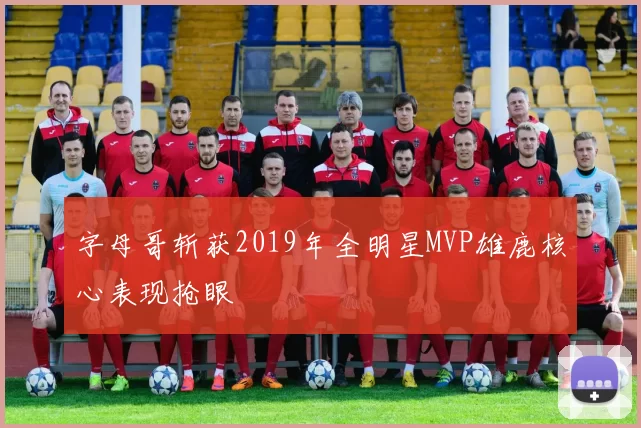 字母哥斩获2019年全明星MVP雄鹿核心表现抢眼