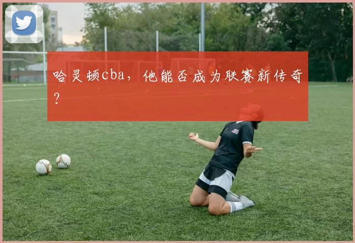 哈灵顿cba，他能否成为联赛新传奇？