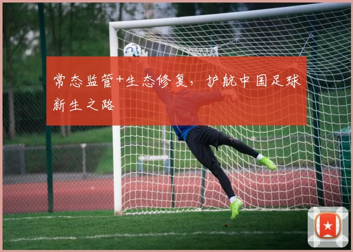 常态监管+生态修复，护航中国足球新生之路