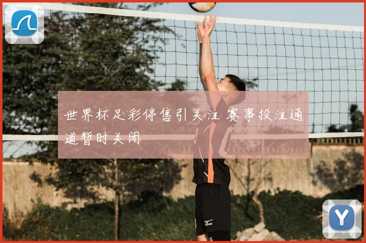 世界杯足彩停售引关注 赛事投注通道暂时关闭
