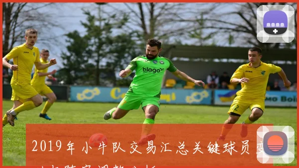2019年小牛队交易汇总关键球员变动与阵容调整分析